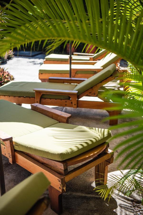 Nautilus Surf & Yoga Villas Santa Teresa Playa Santa Teresa  Dış mekan fotoğraf